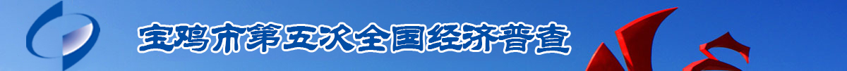 国务院关于开展第五次全国经济普查的通知